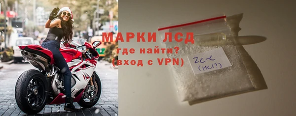 стаф Алзамай