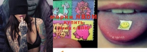 стаф Алзамай