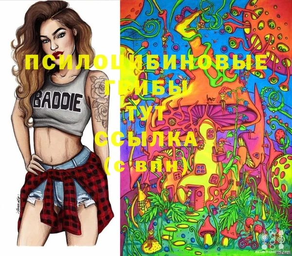 соль курить ск Алексеевка