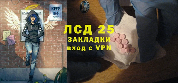 стаф Алзамай