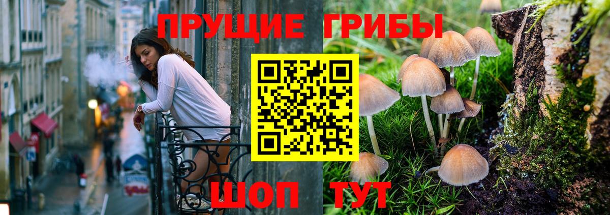 Псилоцибиновые грибы Psilocybine cubensis Усинск